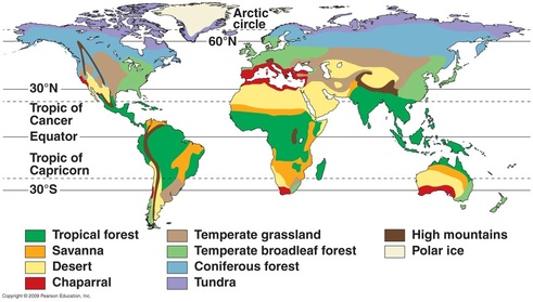 Grassland Biome Map